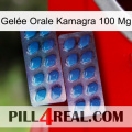 Gelée Orale Kamagra 100 Mg viagra2